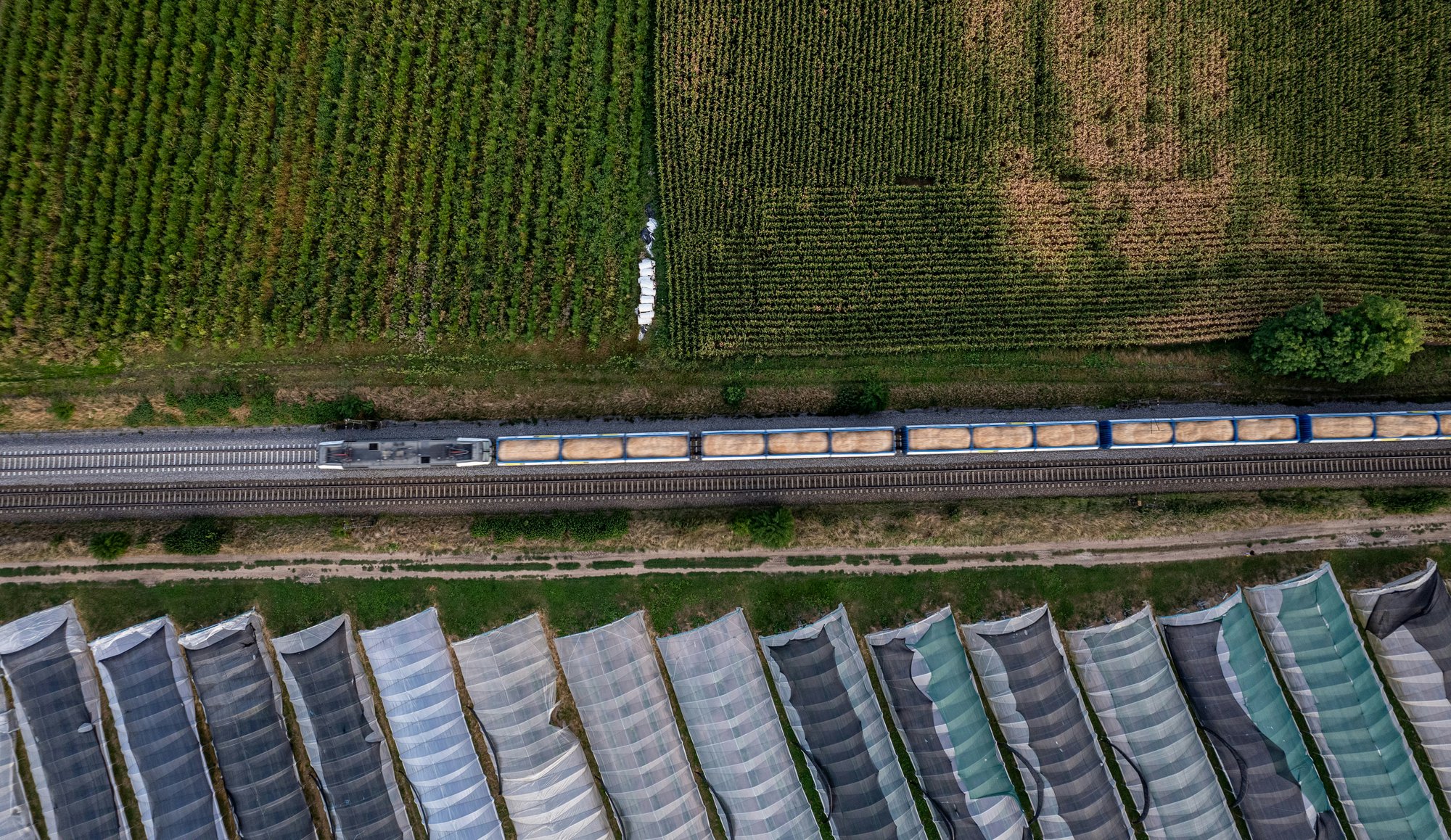 Unlock significant cost savings on long-haul freight by utilizing our direct rail service benefits.